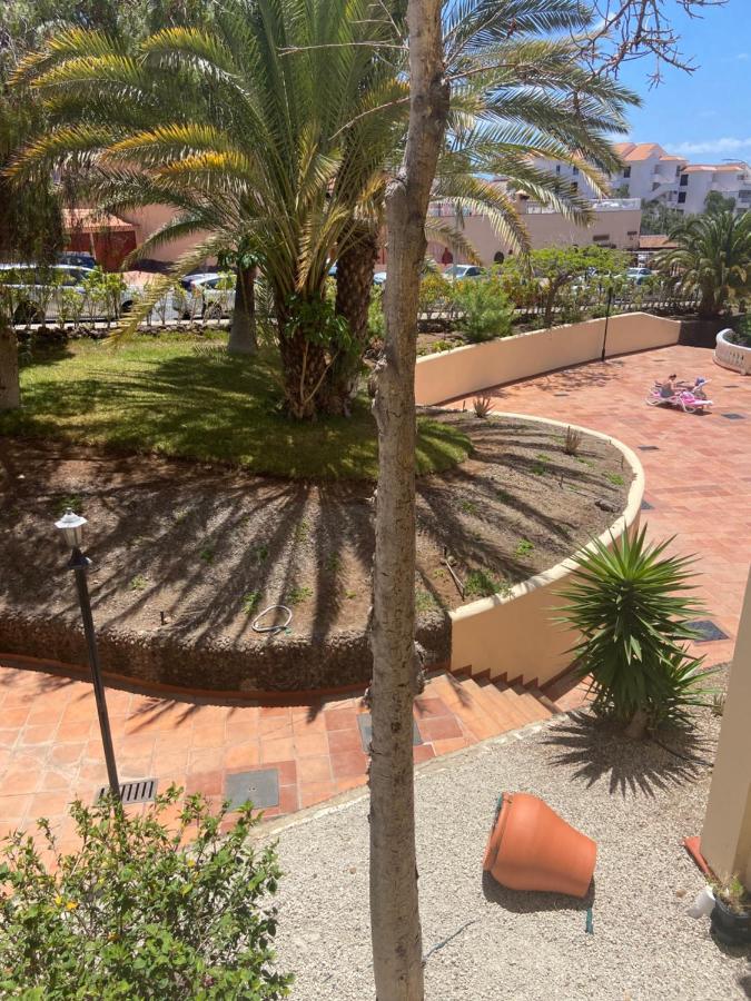 Estudio Castle Harbour 451 Lejlighed Los Cristianos  Eksteriør billede